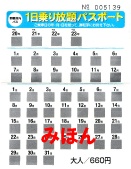 1-day pass