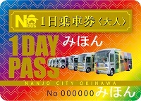 1-day pass